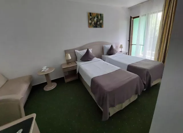 Hotel Bran Brad Bega Cameră Dublă standard #2