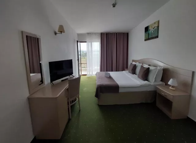 Hotel Bran Brad Bega Cameră Dublă economy #4