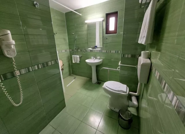 Hotel Bran Brad Bega Cameră Dublă economy #7