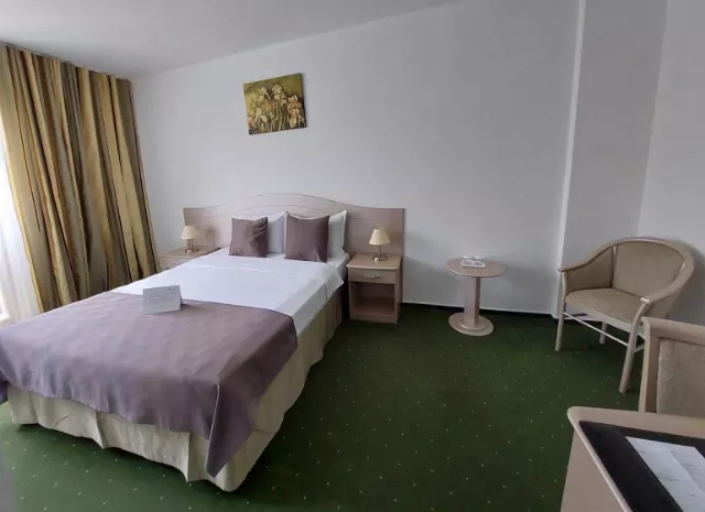 Hotel Bran Brad Bega Cameră Dublă economy #2