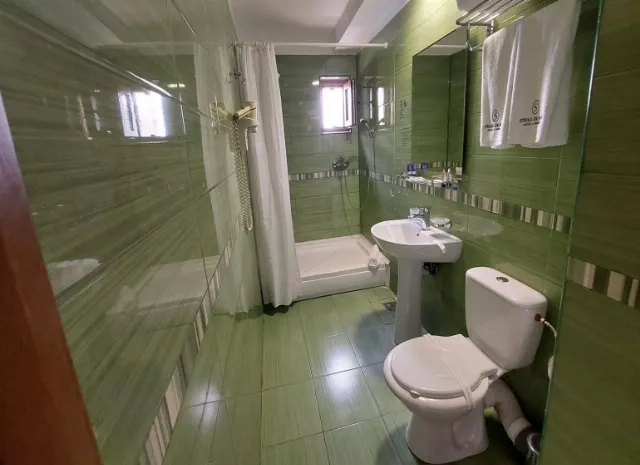 Hotel Bran Brad Bega Cameră Dublă economy #6