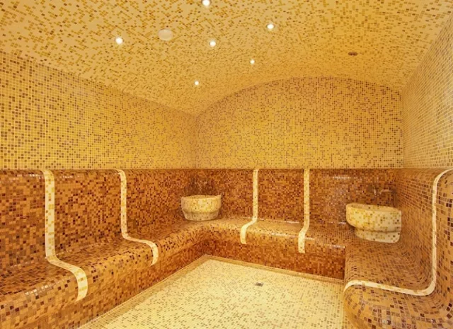 Hotel Bran Brad Bega