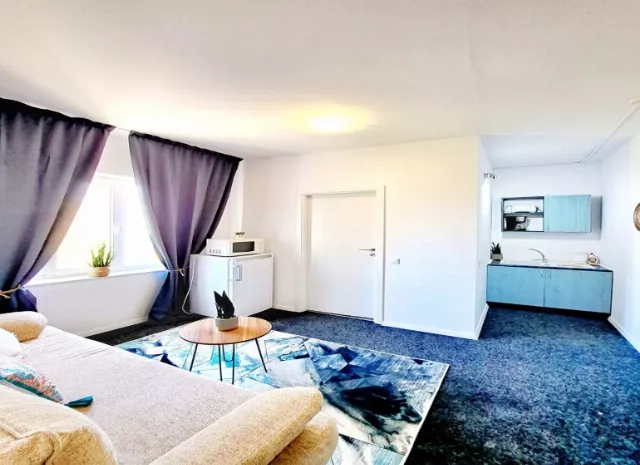 Hotel Arges Apartament 2 camere cu bucatarie #3