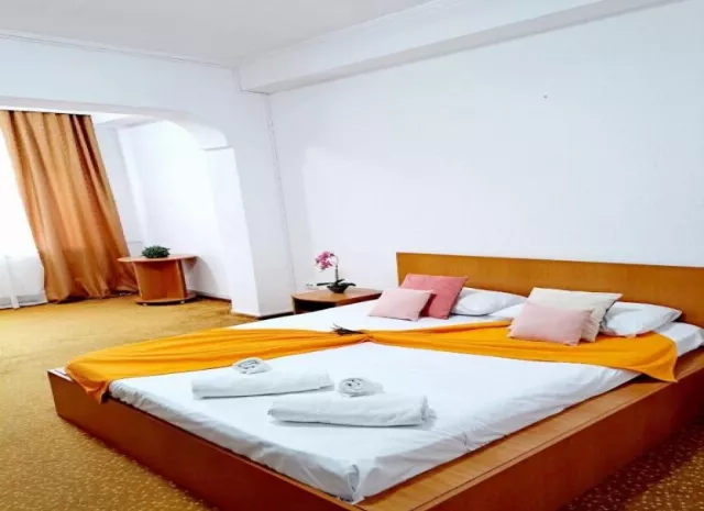 Hotel Arges Apartament 3 camere Luxury #4