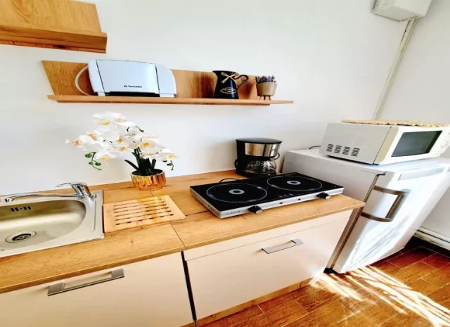 Hotel Arges Apartament 3 camere Luxury #2