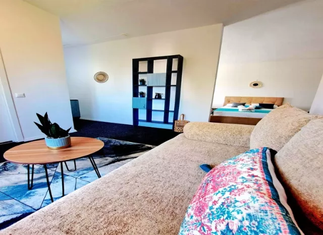 Hotel Arges Apartament 2 camere cu bucatarie