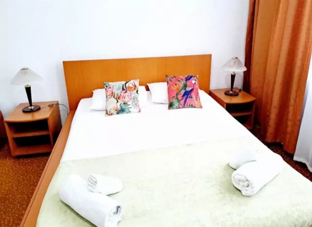 Hotel Arges Cameră Dublă #3