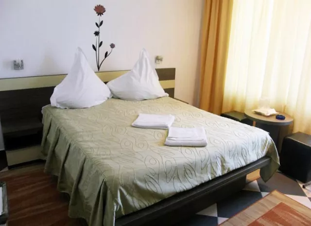Hotel Anca Cameră Dublă #4