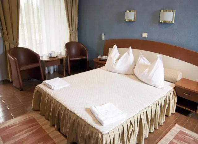 Hotel Anca Cameră Dublă #5