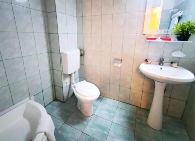 Hotel Berlin Cameră Dublă #2