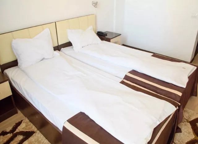 Hotel Clas Cameră Dublă #3