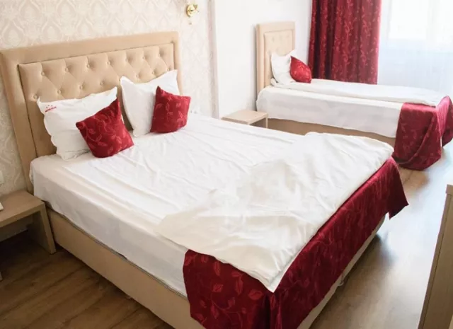 Hotel Clas Cameră Triplă #7