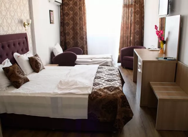 Hotel Clas Cameră Triplă #4