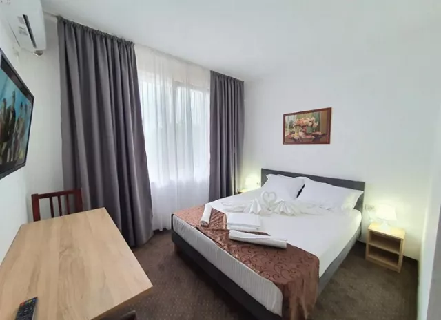 Hotel Decebal Cameră Dublă în hotel #3