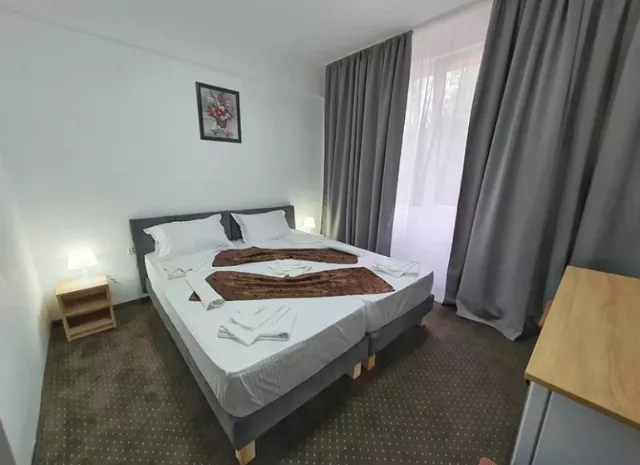 Hotel Decebal Cameră Dublă în hotel #4