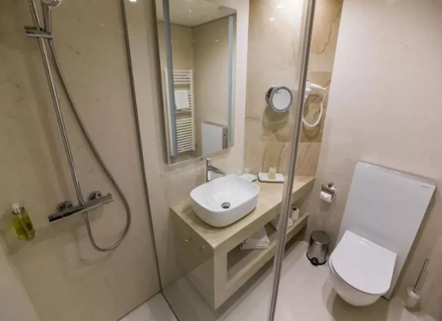 Ana Hotels Europa Cameră Dublă standard #4