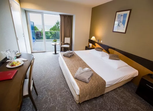 Ana Hotels Europa Cameră Dublă standard #2