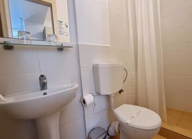 Hotel Diana Cameră Dublă cu balcon #3