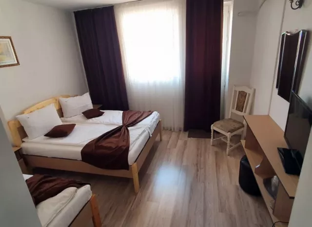 Hotel Dynes Cameră Triplă #4