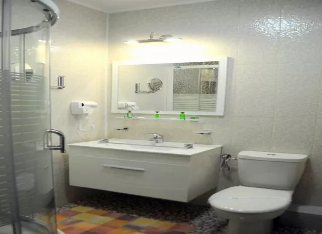 Hotel Evia Cameră Dublă #3