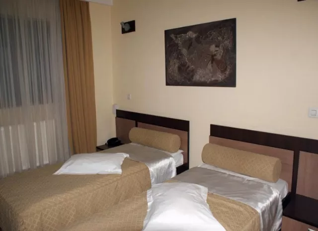 Hotel Grand Cameră Dublă #4