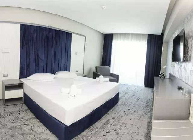 Hotel Union Cameră Dublă superioară 4* #2