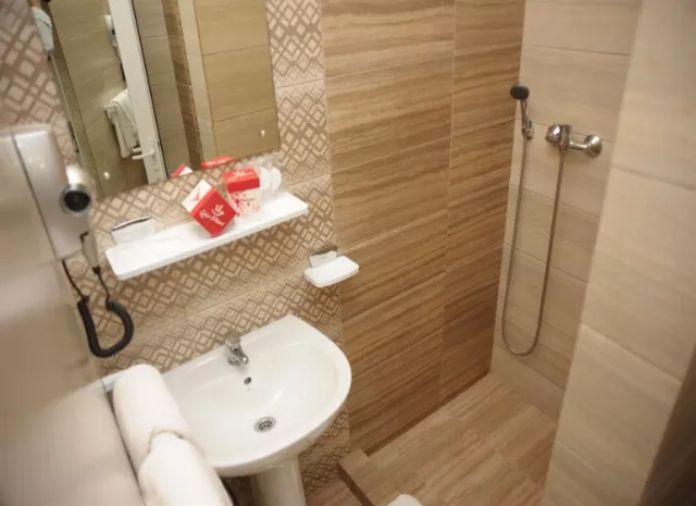 Hotel Pinguin Cameră Dublă #3