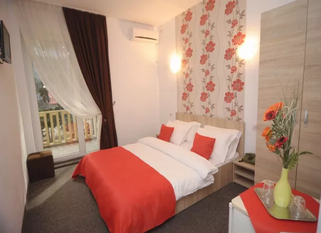 Hotel Pinguin Cameră Dublă