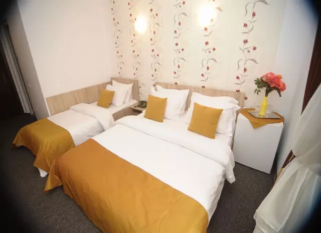 Hotel Pinguin Cameră Triplă