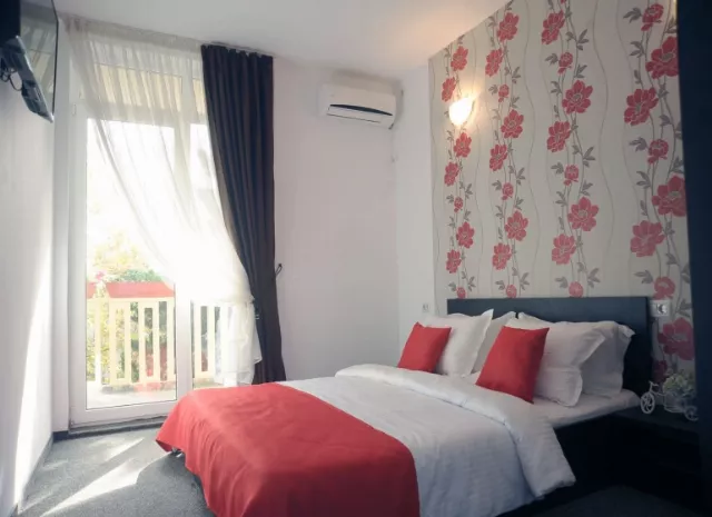 Hotel Pinguin Cameră Dublă #2