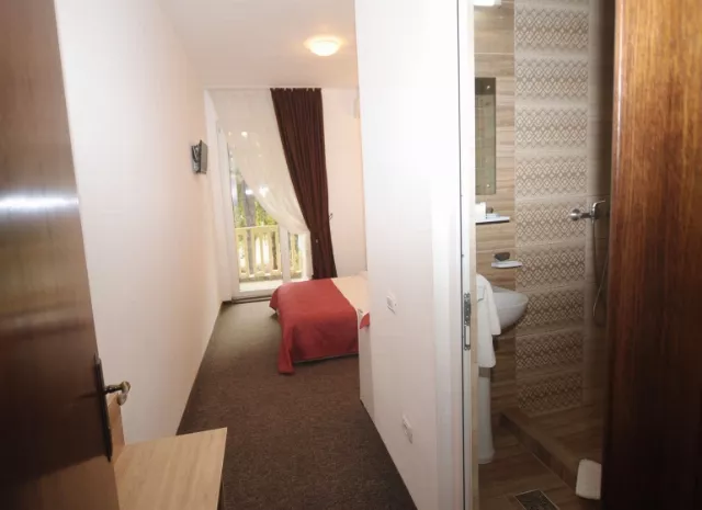 Hotel Pinguin Cameră Dublă #5