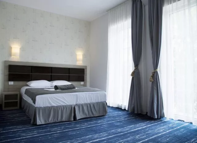 Hotel Victoria Cameră Dublă #5