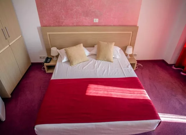 Hotel Vis Cameră Dublă #3