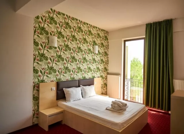 Hotel Alma Cameră Dublă