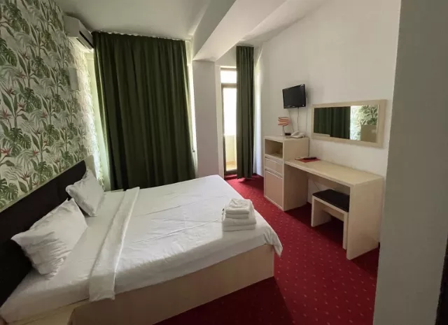 Hotel Alma Cameră Dublă #5