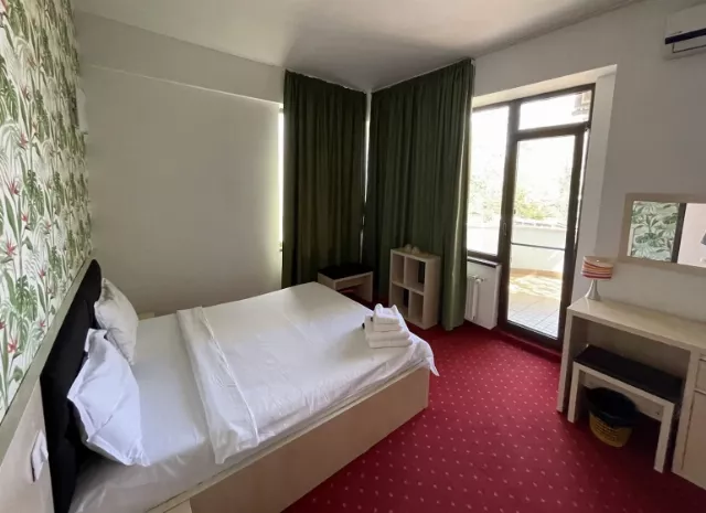 Hotel Alma Cameră Dublă #4