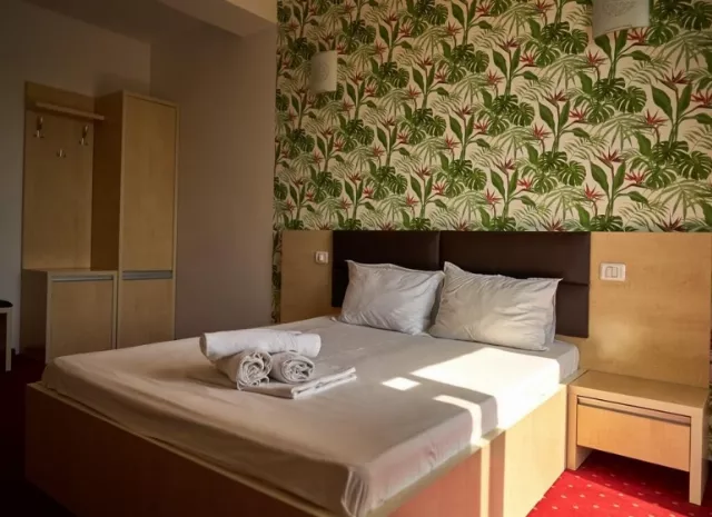 Hotel Alma Cameră Dublă #3