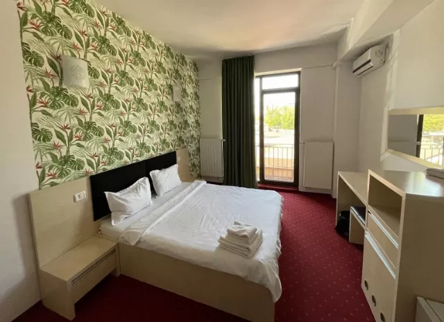 Hotel Alma Cameră Dublă #2