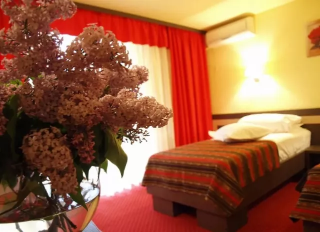 Hotel Dana Cameră Dublă superioară #2