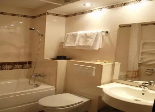 Hotel Dana Cameră Dublă superioară #3