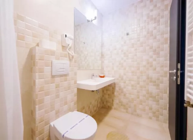 Hotel Parc Cameră Dublă standard corp B #5