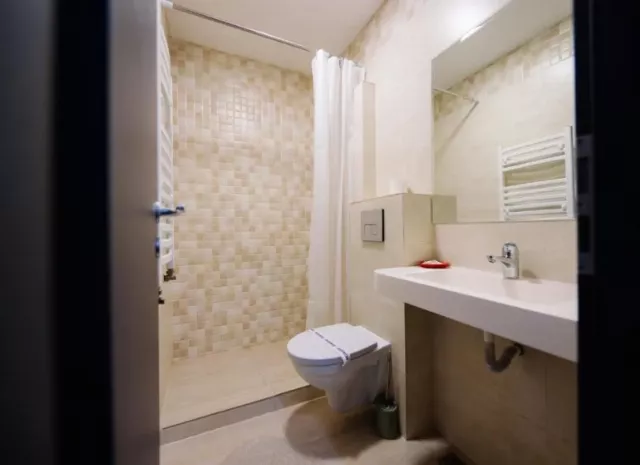 Hotel Parc Cameră Dublă superioară corp B #4