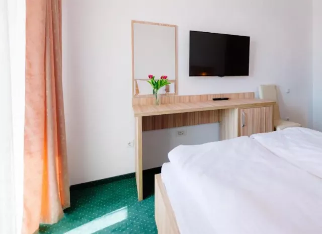 Hotel Parc Cameră Dublă superioară #6