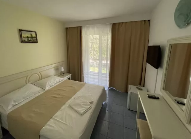 Hotel Central Cameră Dublă #4