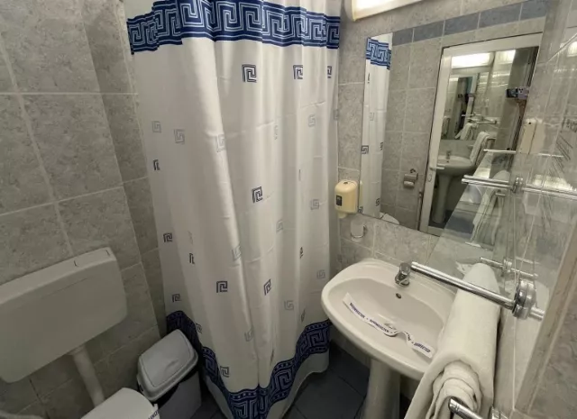 Hotel Central Cameră Dublă #2