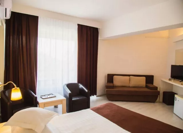 Hotel Ambasador Cameră Dublă superioară #4