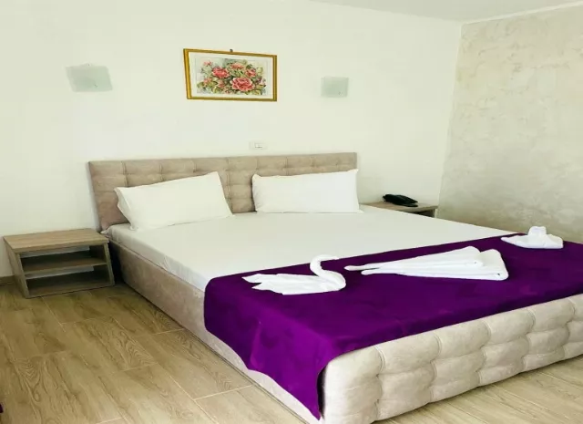 Hotel Astoria Cameră Dublă parter