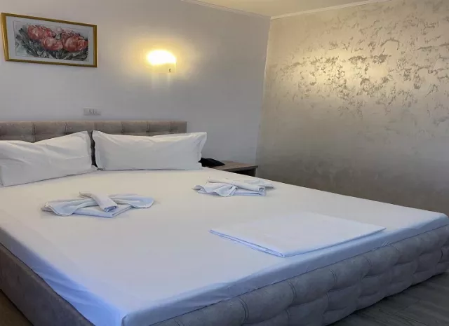 Hotel Astoria Cameră Dublă parter #8