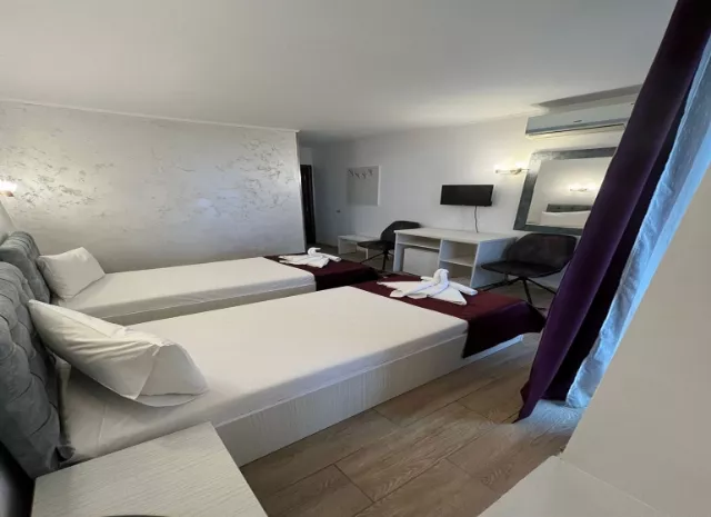 Hotel Astoria Cameră Dublă parter #7
