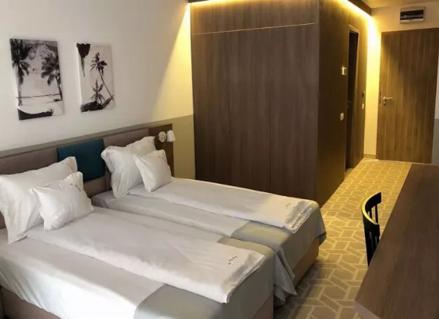 Hotel Clas Cameră Dublă #3